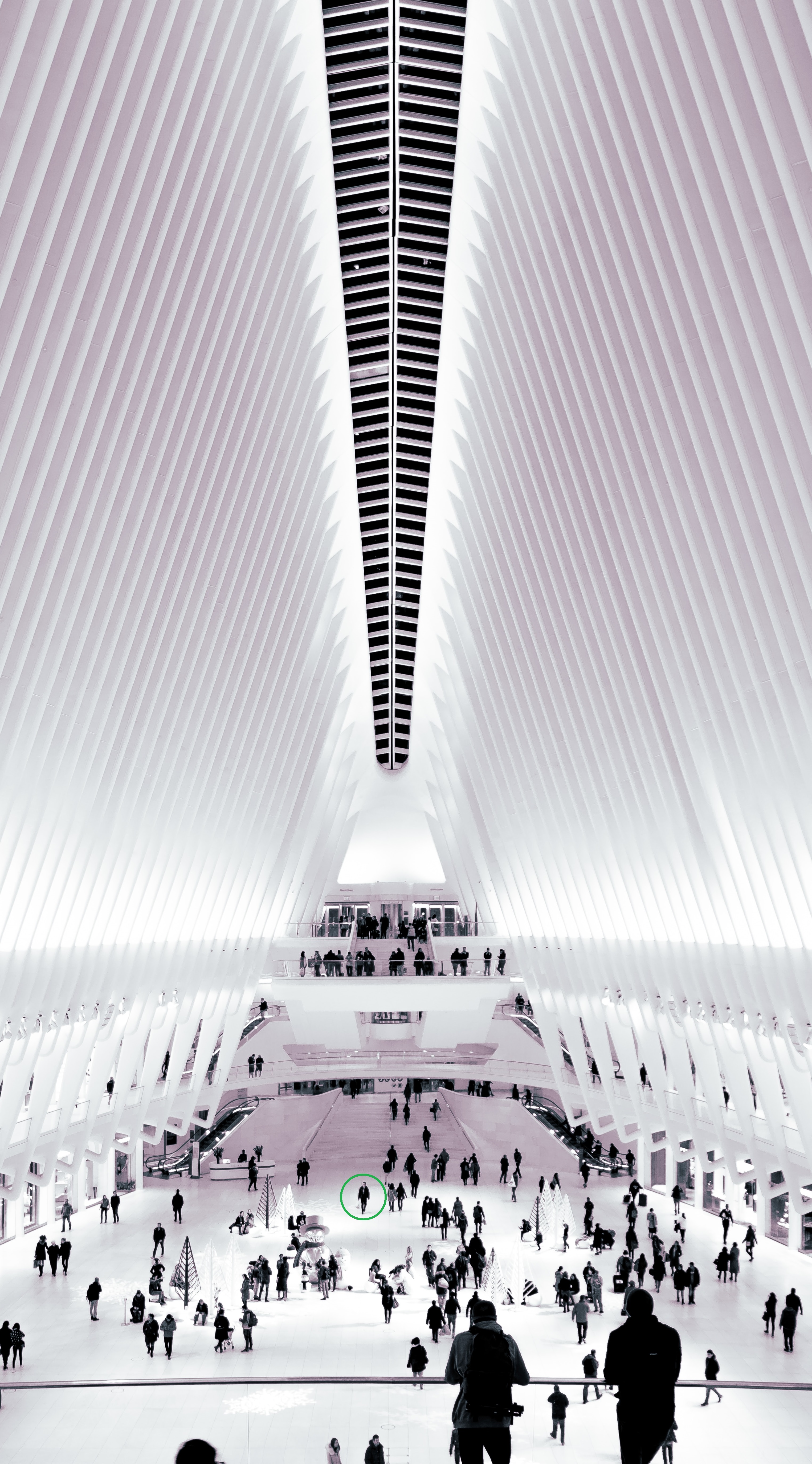 patrick-robert-doyle-mBJ4PNZH_EE-unsplash small